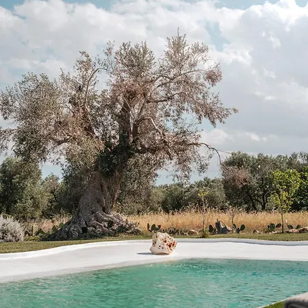 White Stone House 6&1, Emma Villa